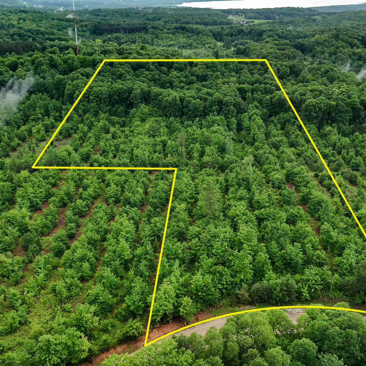 Vacant Land For Sale - Walker Road<br/> Rapid City, MI 49676