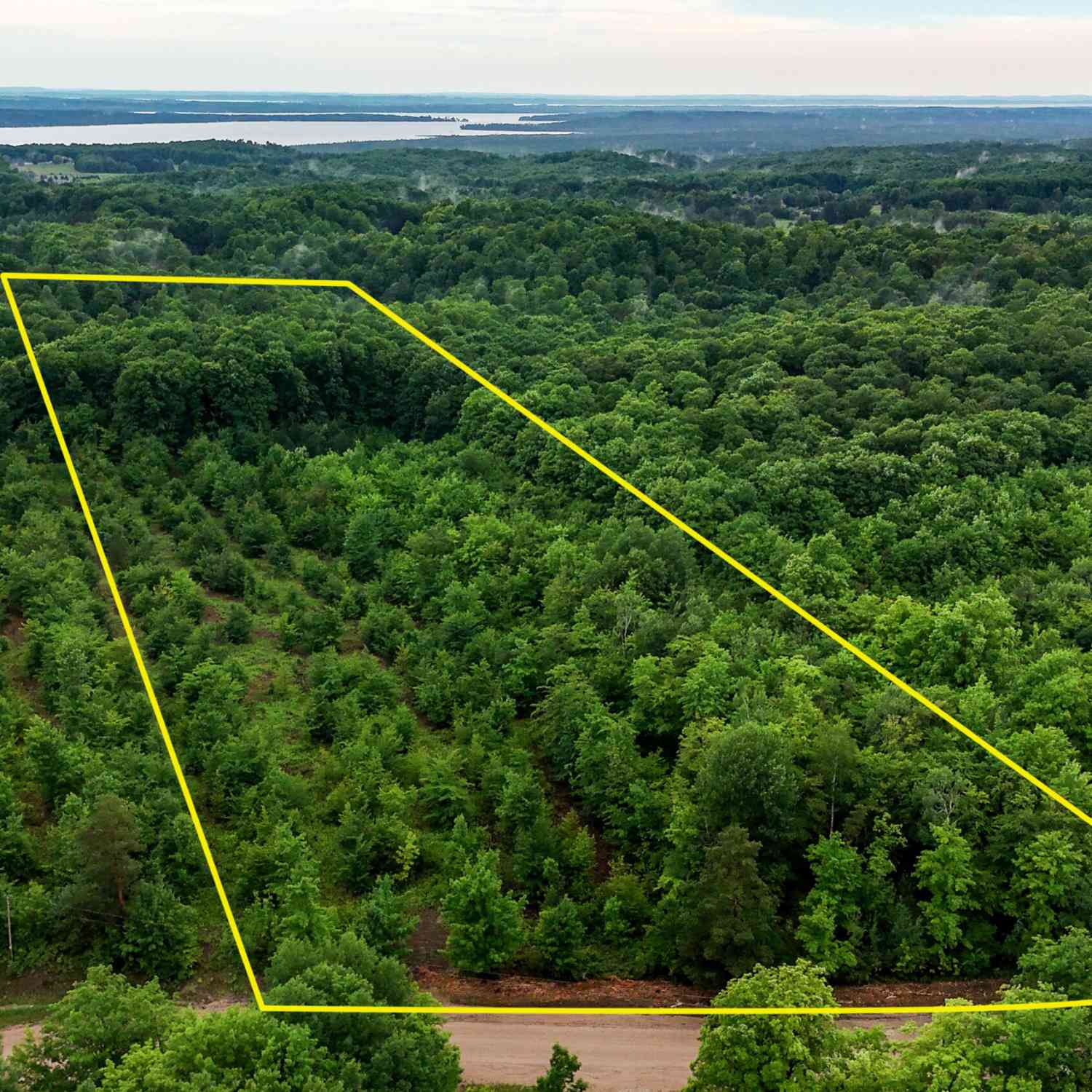 Vacant Land For Sale - Walker Road<br/> Rapid City, MI 49676