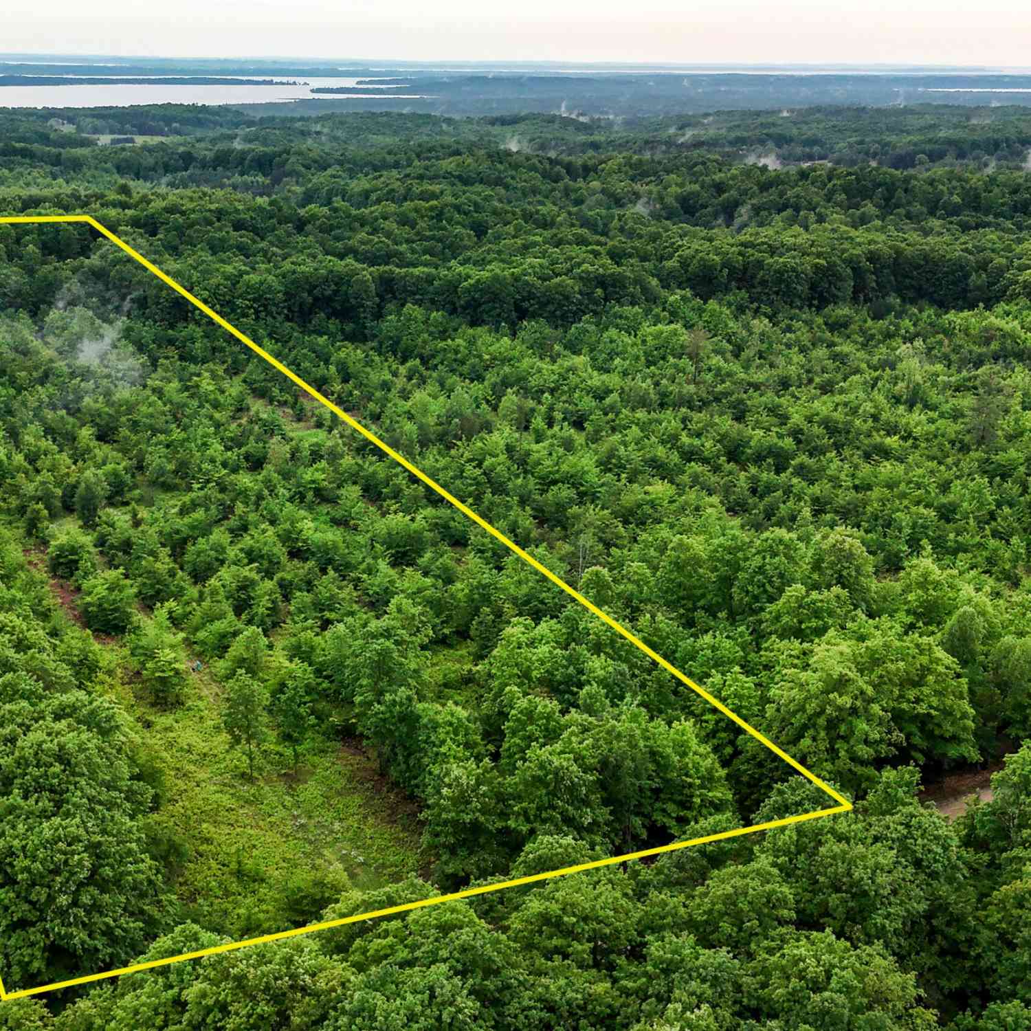 Vacant Land For Sale - Walker Road<br/> Rapid City, MI 49676