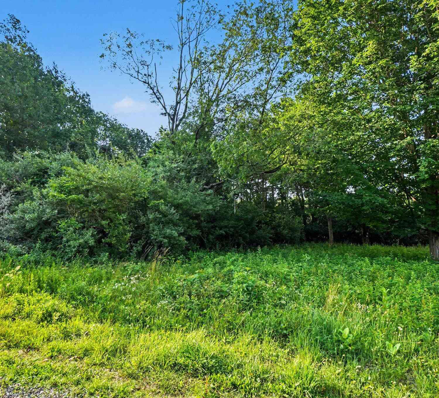 Vacant Land For Sale - Adams Street #LOTS 16-18<br/> South Haven, MI 49090