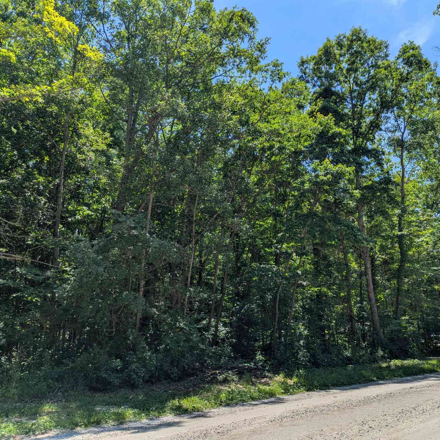 Vacant Land For Sale - 15320 Larsen Avenue<br/> Kent County, Gowen, MI 49326