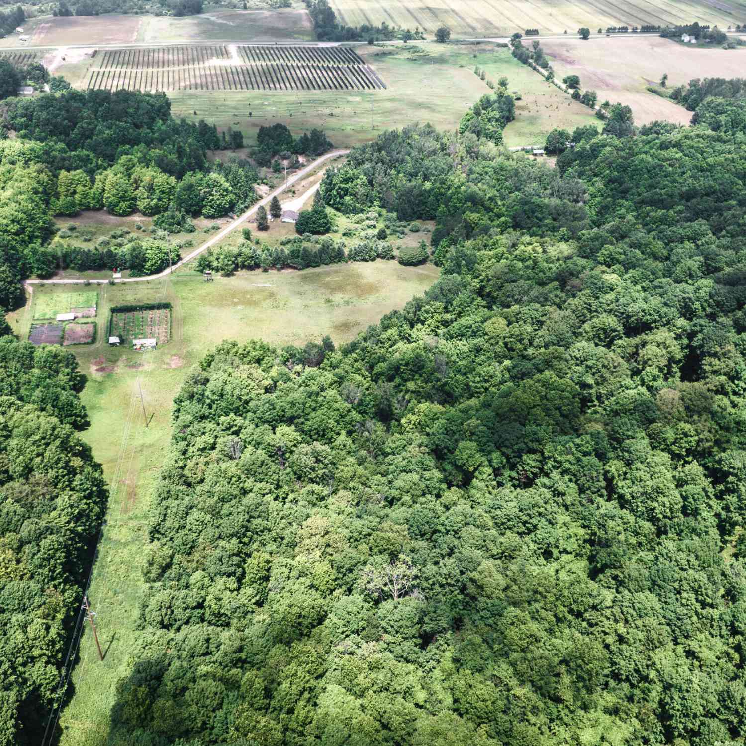 Vacant Land For Sale - 2148 W Hazel Road<br/> Hart, MI 49420