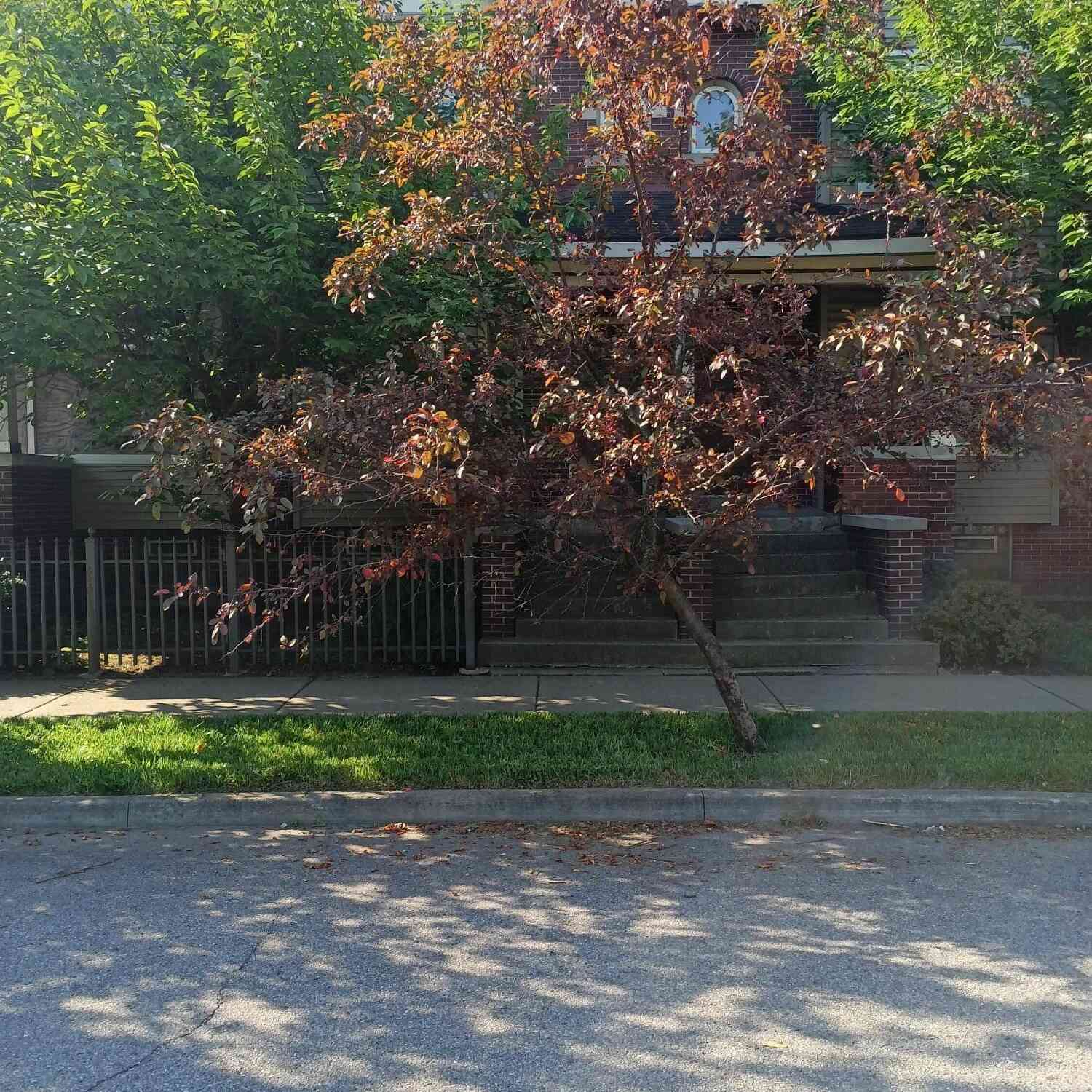 Condo For Sale - 7240 Saint Paul Street<br/> Wayne County, Detroit, MI 48214