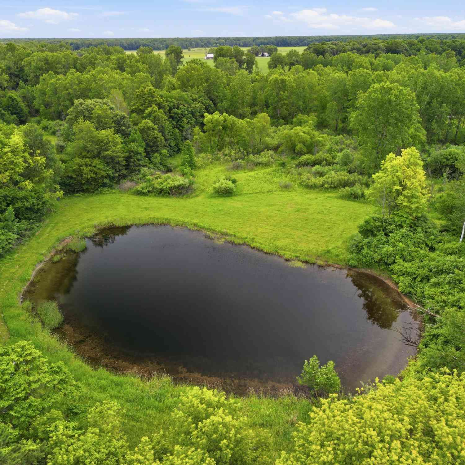 Vacant Land For Sale - 7 E Johnson Road<br/> Gratiot County, Ashley, MI 48806