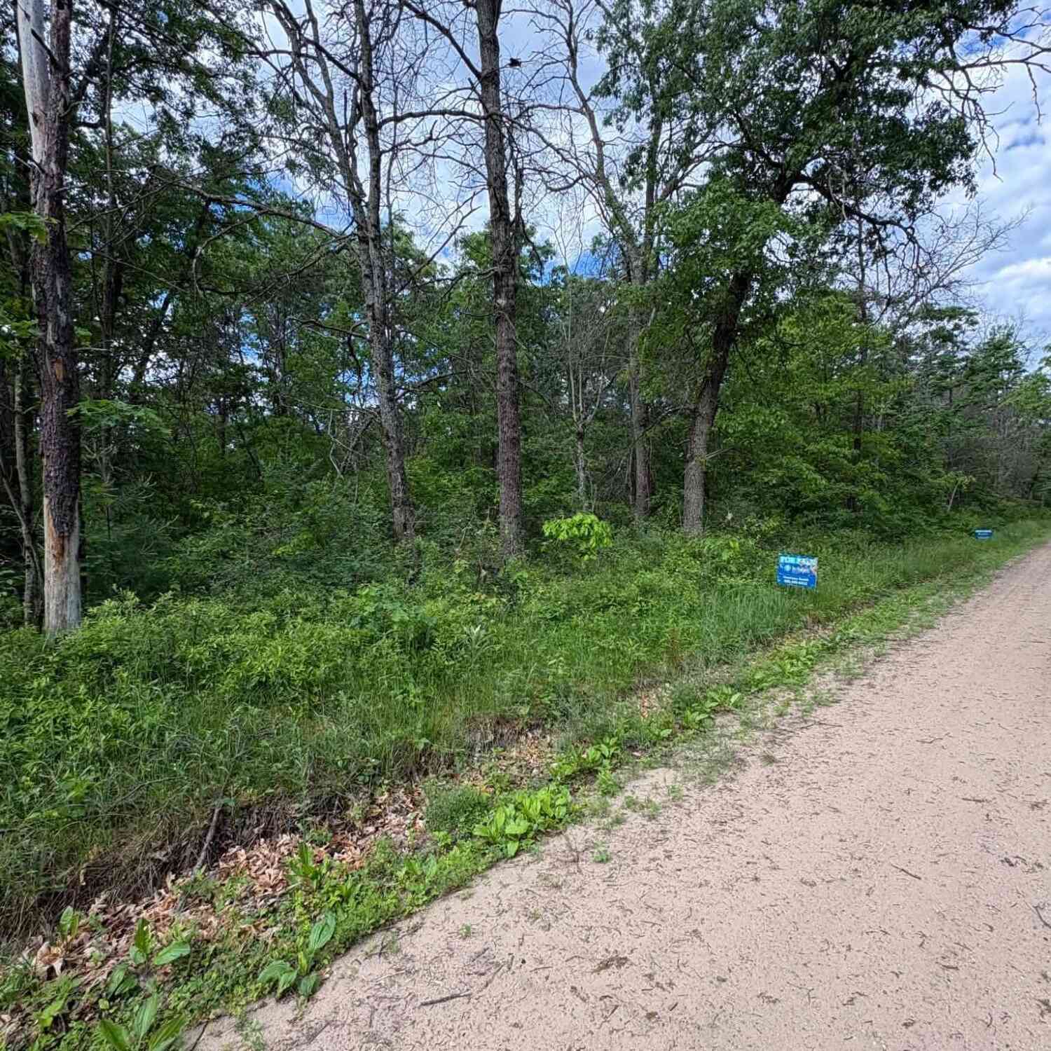 Vacant Land For Sale - V/L E Lynndon Street<br/> Idlewild, MI 49642