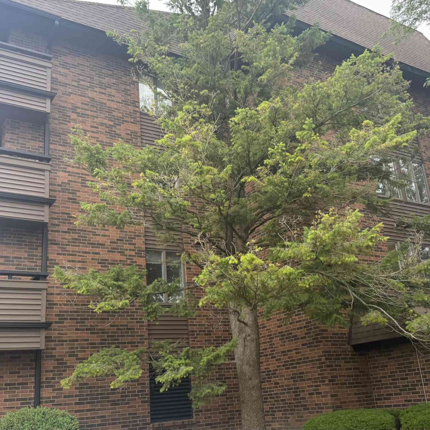 Condo For Sale - 3181 Charlevoix #302 Drive #302<br/> Grand Rapids, MI 49546