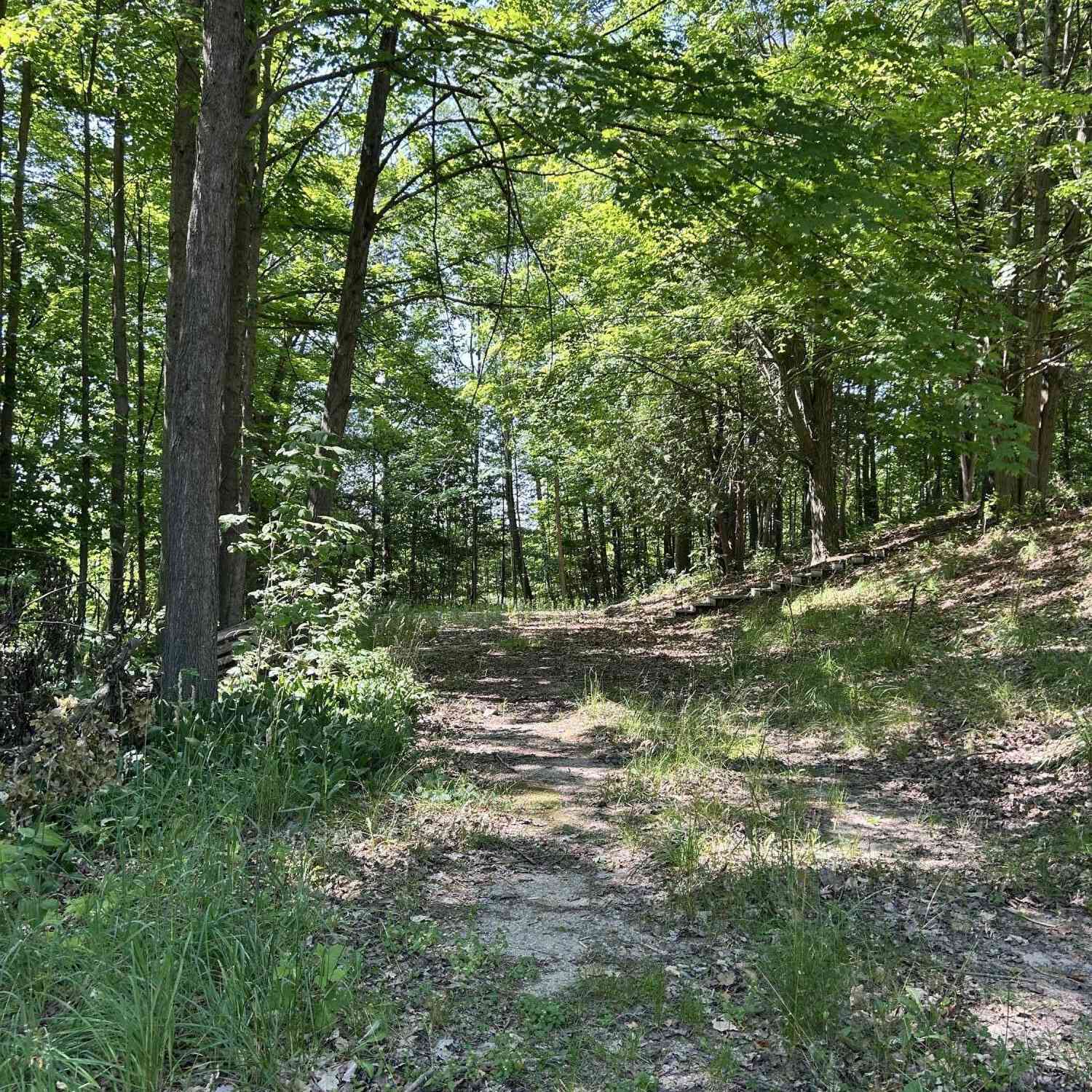Vacant Land For Sale - 313 W Spruce Street<br/> Big Rapids, MI 49307