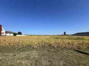 Vacant Land For Sale - 2000 W Beecher Road<br/> Adrian, MI 49221