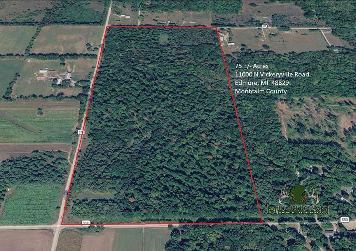 Vacant Land For Sale - 11000 N Vickeryville Road<br/> Edmore, MI 48829