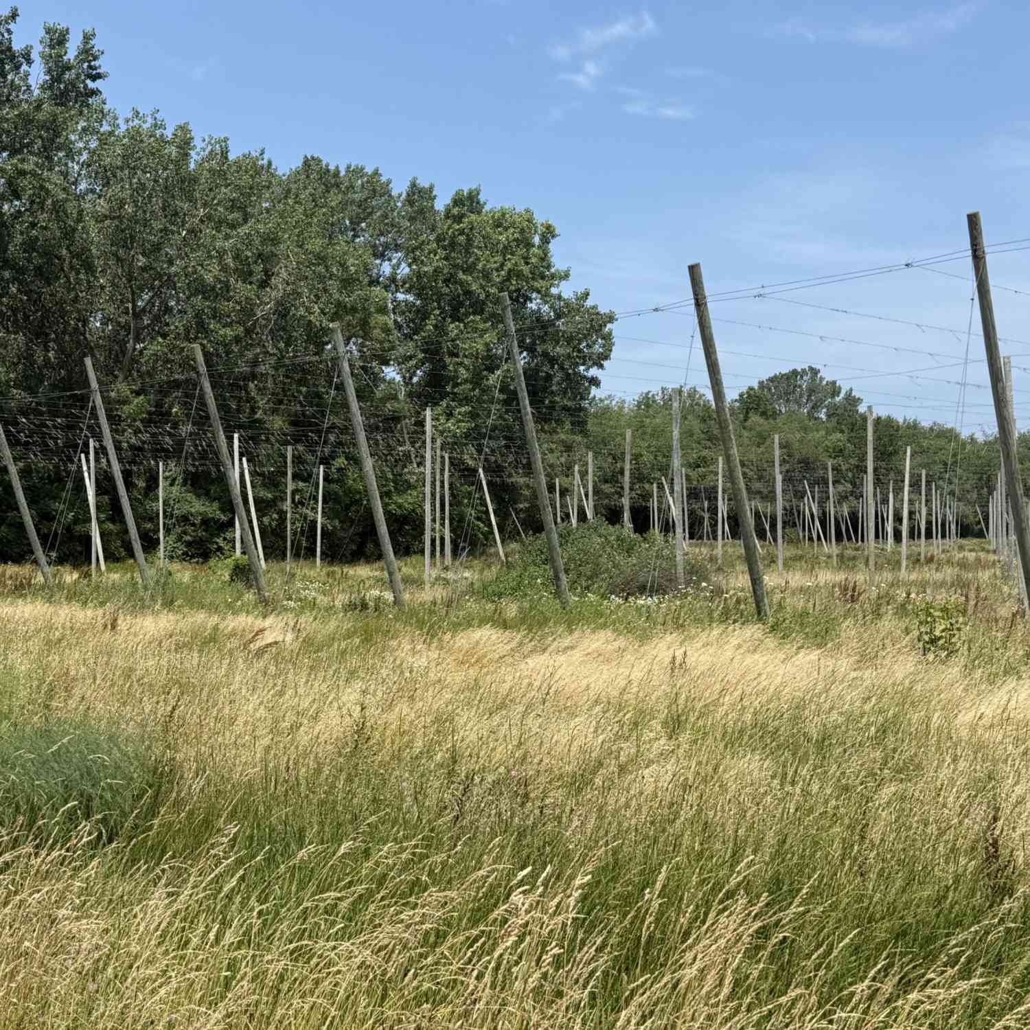 Vacant Land For Sale - 1129 Marrs Road<br/> Berrien County, Baroda, MI 49101