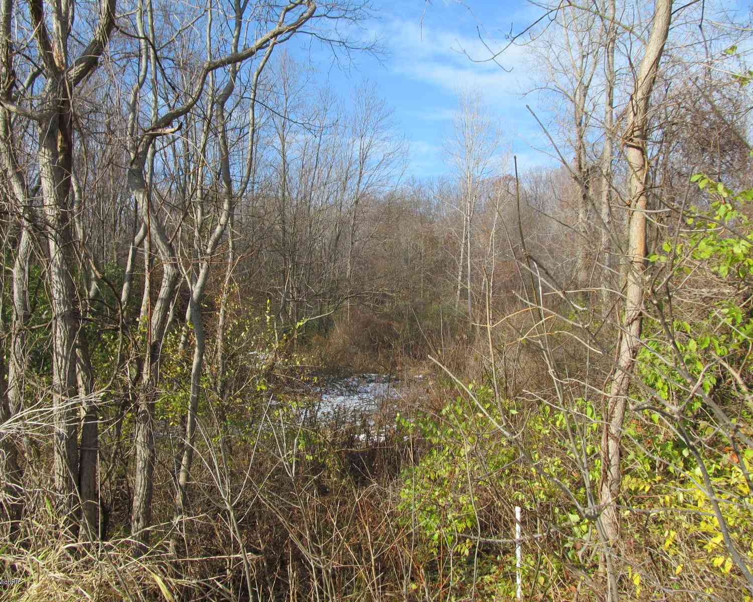 Vacant Land For Sale - W Marquette Woods Road<br/> Berrien County, Stevensville, MI 49127