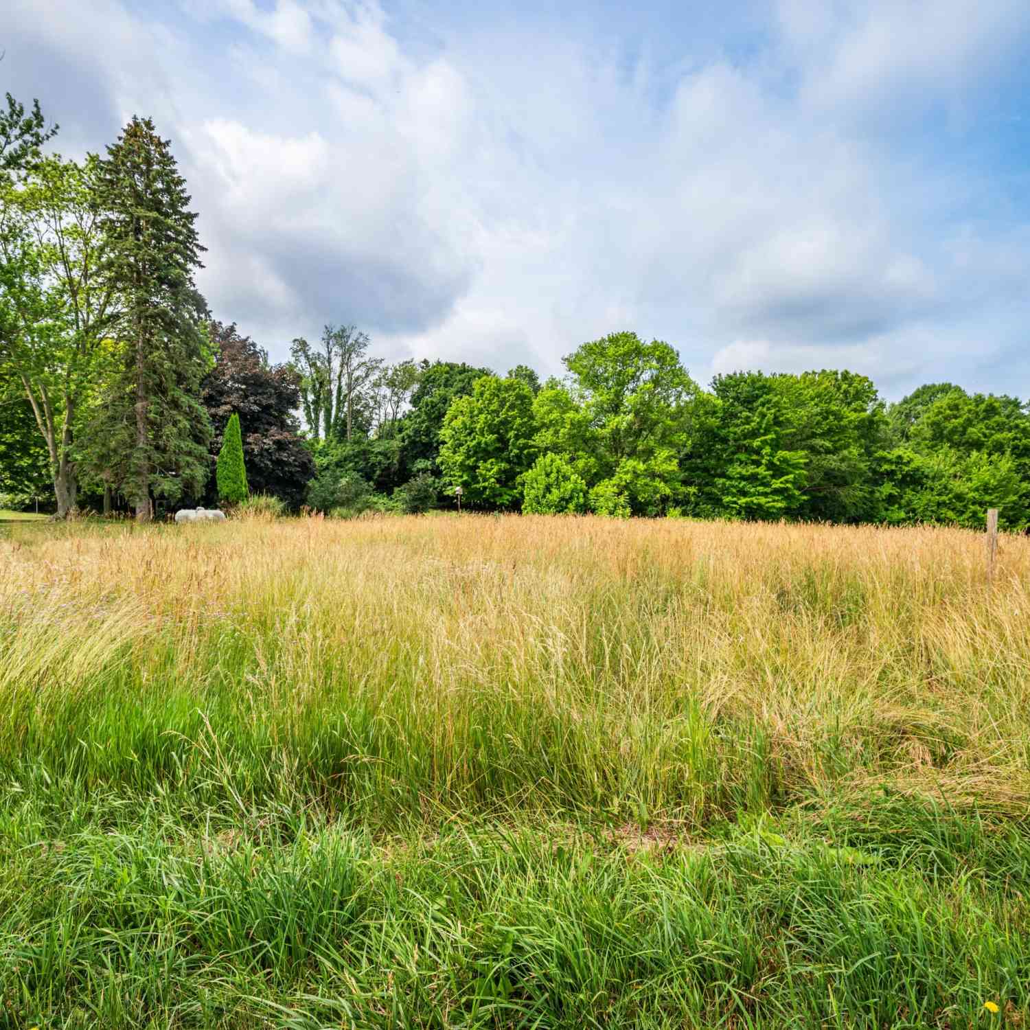 Vacant Land For Sale - Mt Zion Road<br/> Berrien County, Galien, MI 49113