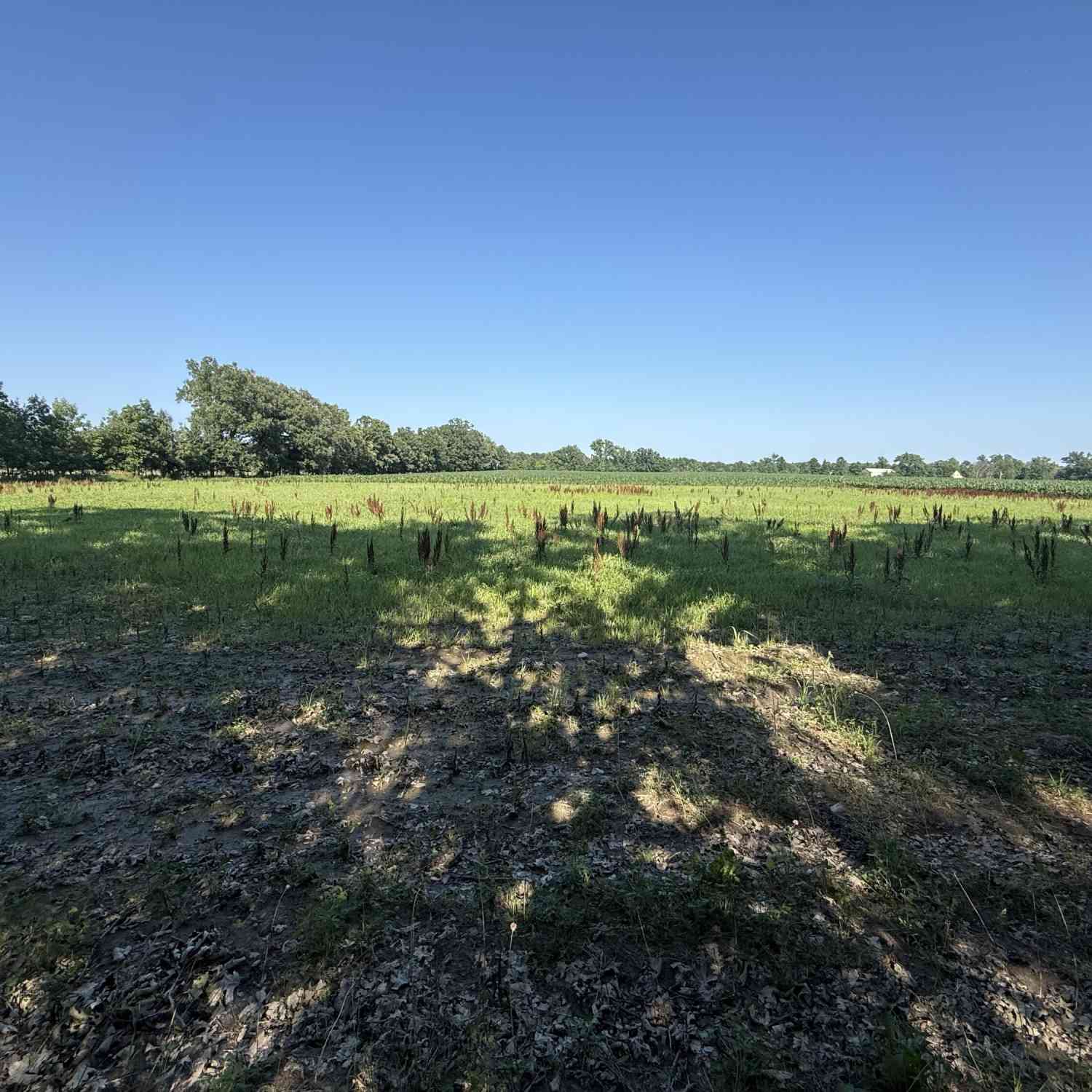 Vacant Land For Sale - 1245 19th Street<br/> Otsego, MI 49078