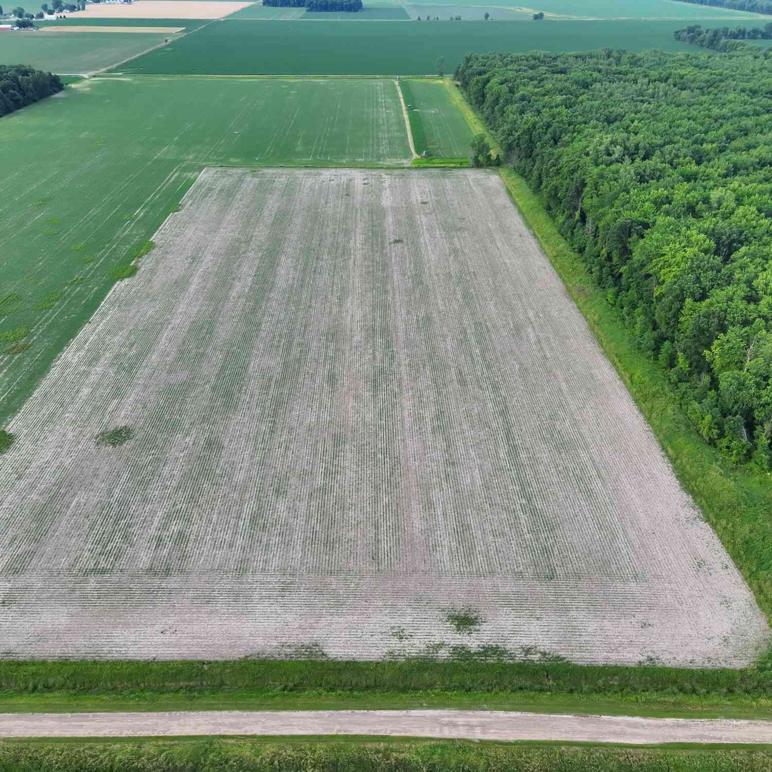 Vacant Land For Sale - Houlihan Road<br/> Saginaw County, Saginaw, MI 48601