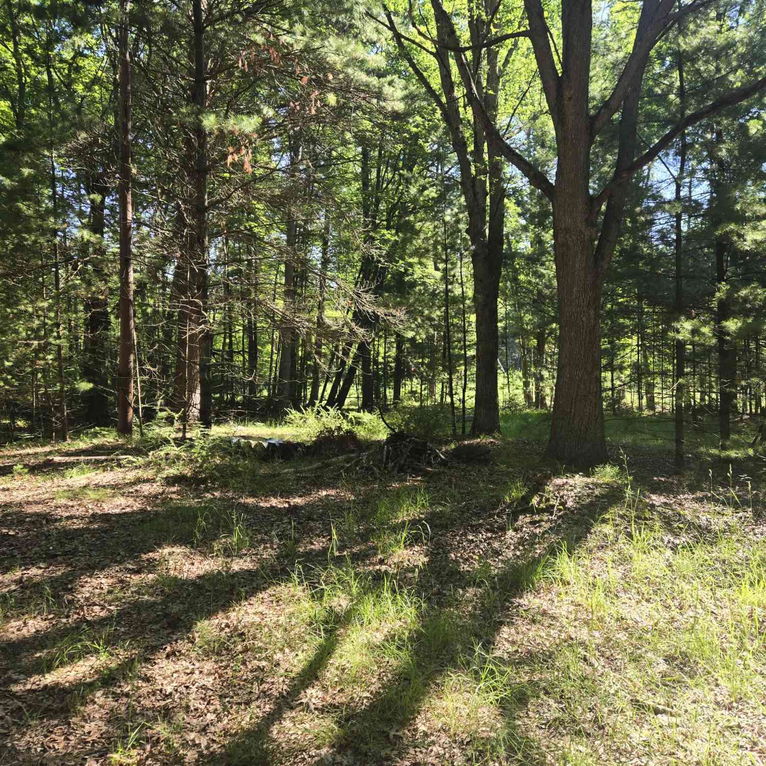 Vacant Land For Sale - 704 N Morris Street<br/> Pentwater, MI 49449