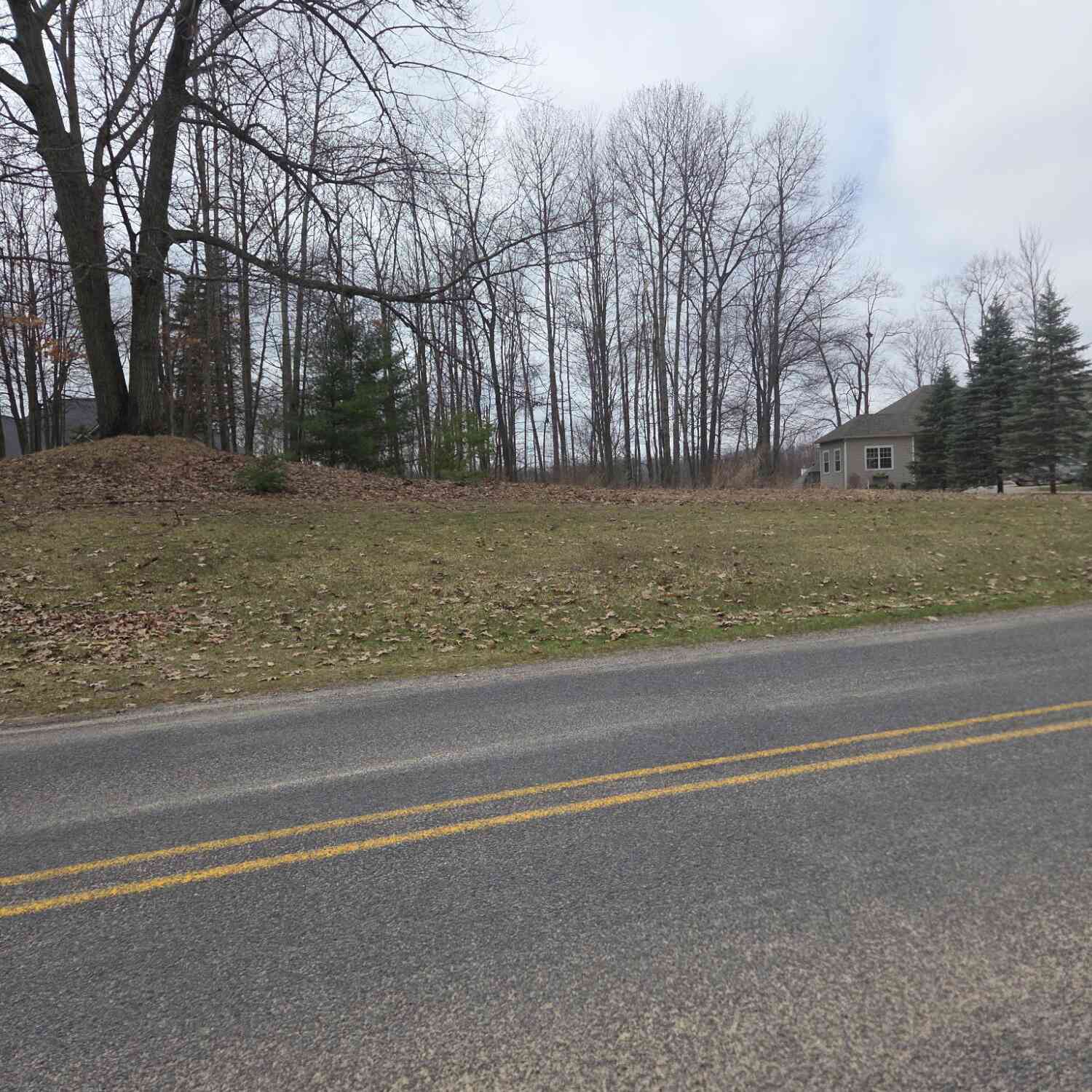 Vacant Land For Sale - 9361 St. Ives Drive #32<br/> Canadian Lakes, MI 49346
