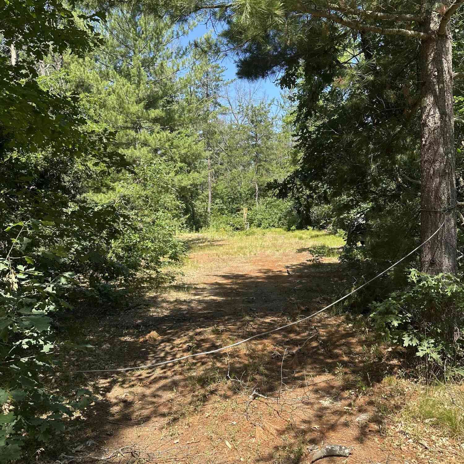 Vacant Land For Sale - 6667 S Dillard Street<br/> Baldwin, MI 49304