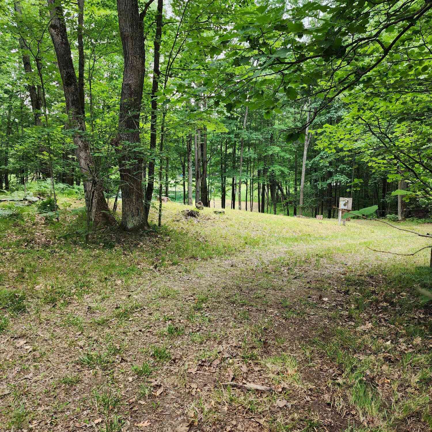Vacant Land For Sale - 1631 Laurel Lane<br/> Clare County, Farwell, MI 48622