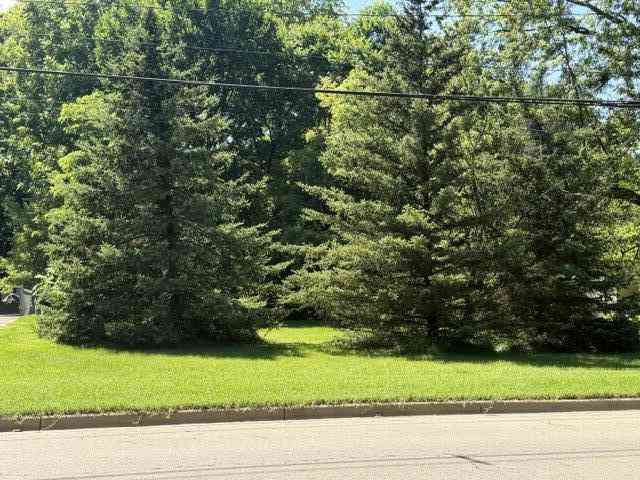 Vacant Land For Sale - 413 Brewer Street<br/> Marshall, MI 49068