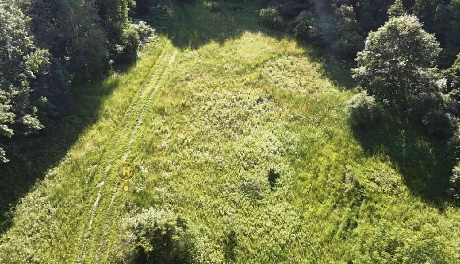 Vacant Land For Sale - V/L Woods Road<br/> Montcalm County, Sidney, MI 48885