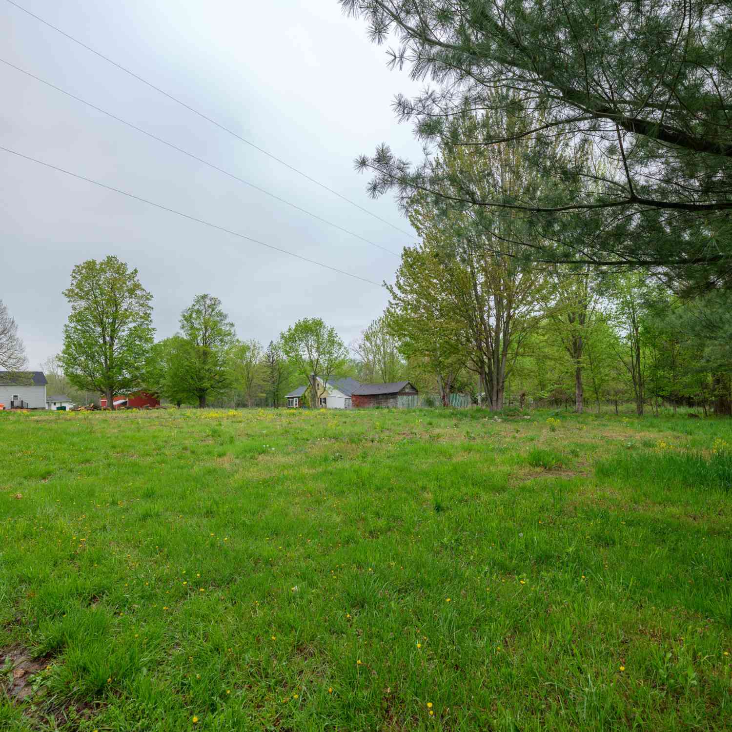 Vacant Land For Sale - 11971 S 39th Street<br/> Kalamazoo County, Vicksburg, MI 49097