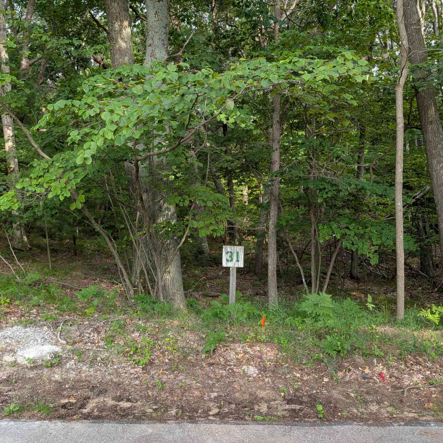 Vacant Land For Sale - N Silver Ridge Road #LOT 31<br/> Mears, MI 49436