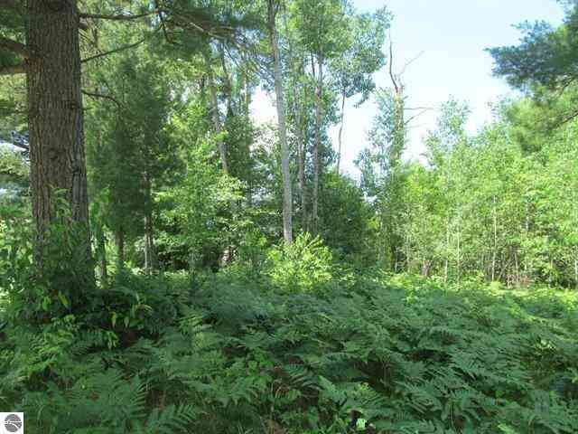 Vacant Land For Sale - 63 White Pine Drive<br/> Wexford County, Cadillac, MI 49601