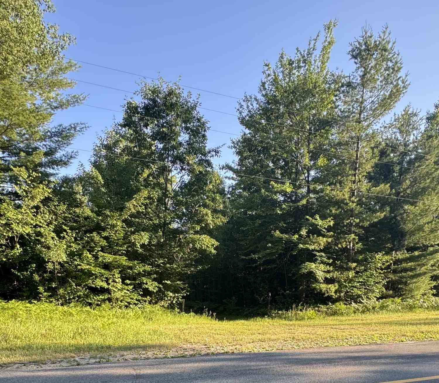Vacant Land For Sale - V/L E 8 Mile Road<br/> Luther, MI 49656