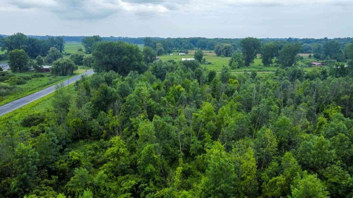 Vacant Land For Sale - 60196 County Road 376<br/> Bangor, MI 49013