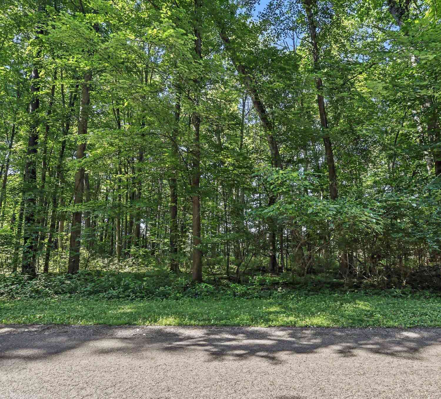 Vacant Land For Sale - 13986 Peninsula Drive<br/> Kalamazoo County, Galesburg, MI 49053