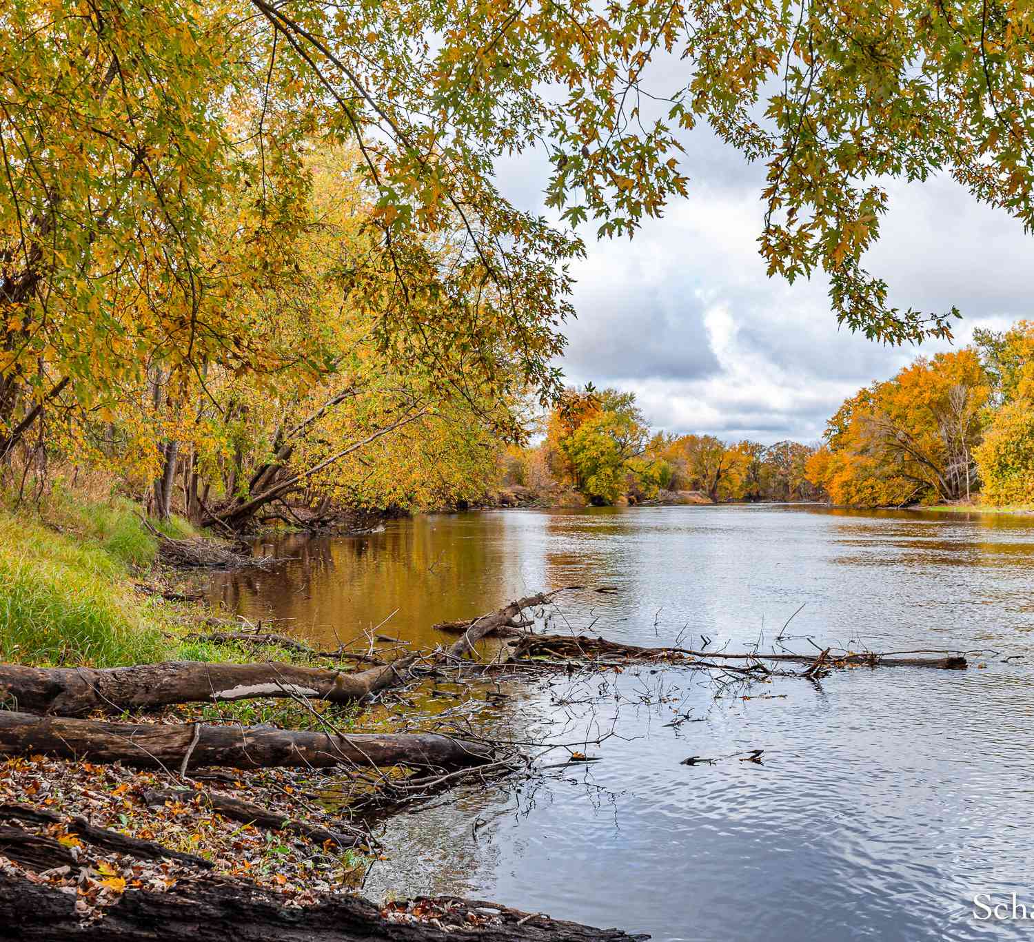 Vacant Land For Sale - 7758 Riverside Drive<br/> Ionia County, Saranac, MI 48881
