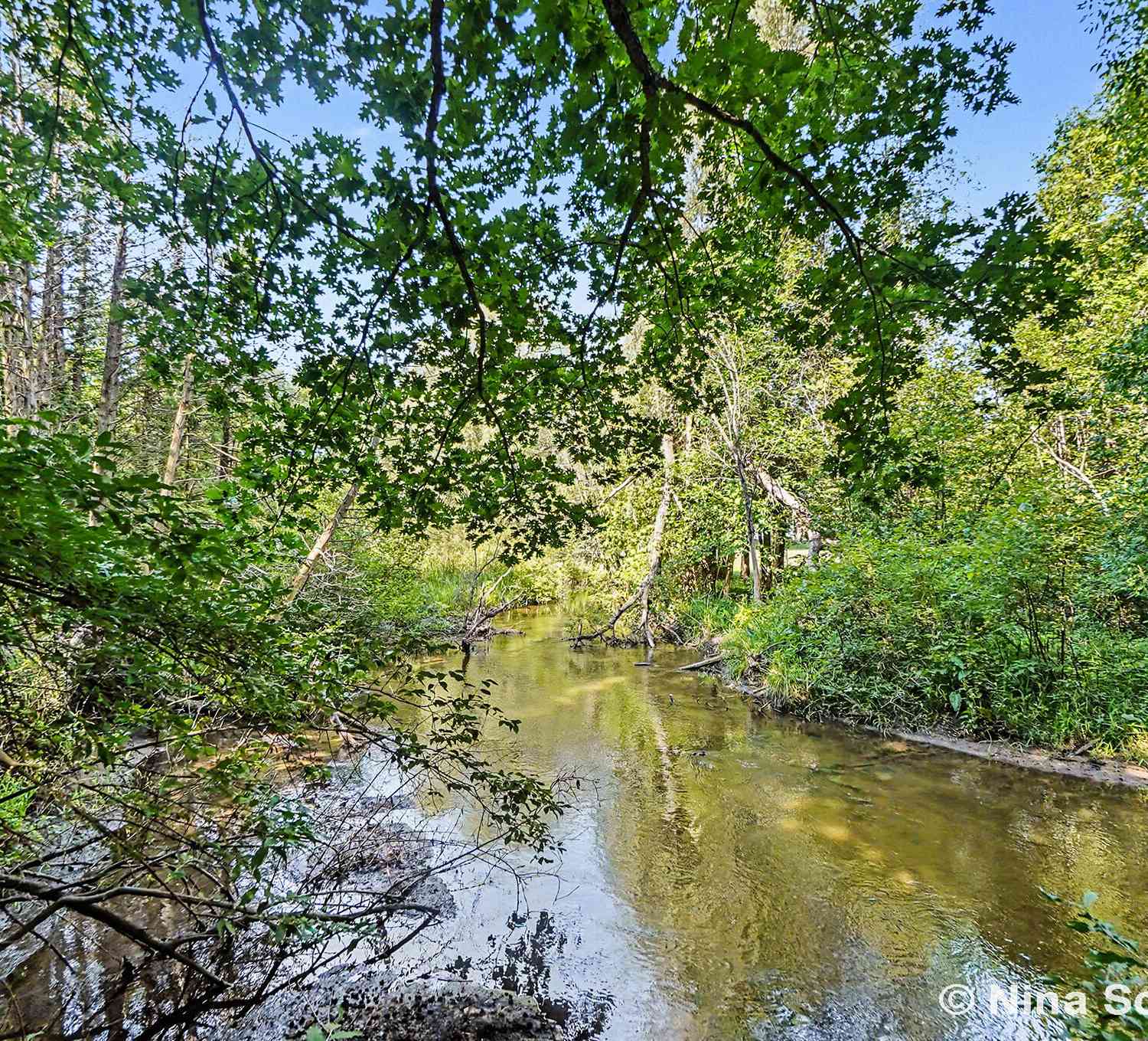 Vacant Land For Sale - 3754 E White River<br/> Hesperia, MI 49421