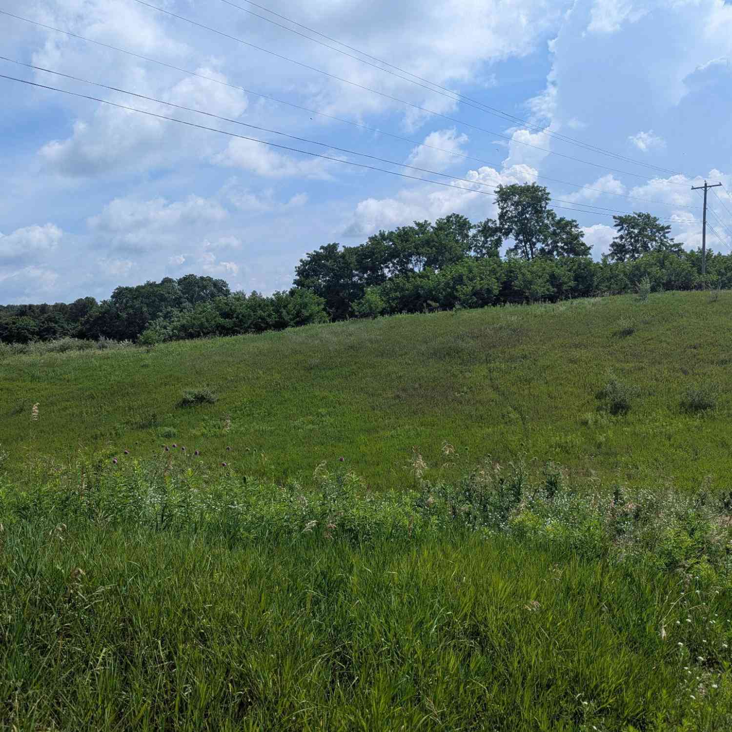 Vacant Land For Sale - LOT 1 Vicary Road<br/> Jackson County, Cement City, MI 49233