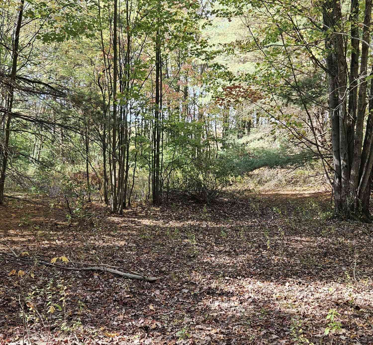 Vacant Land For Sale - 1100 E Bard<br/> Muskegon, MI 49445