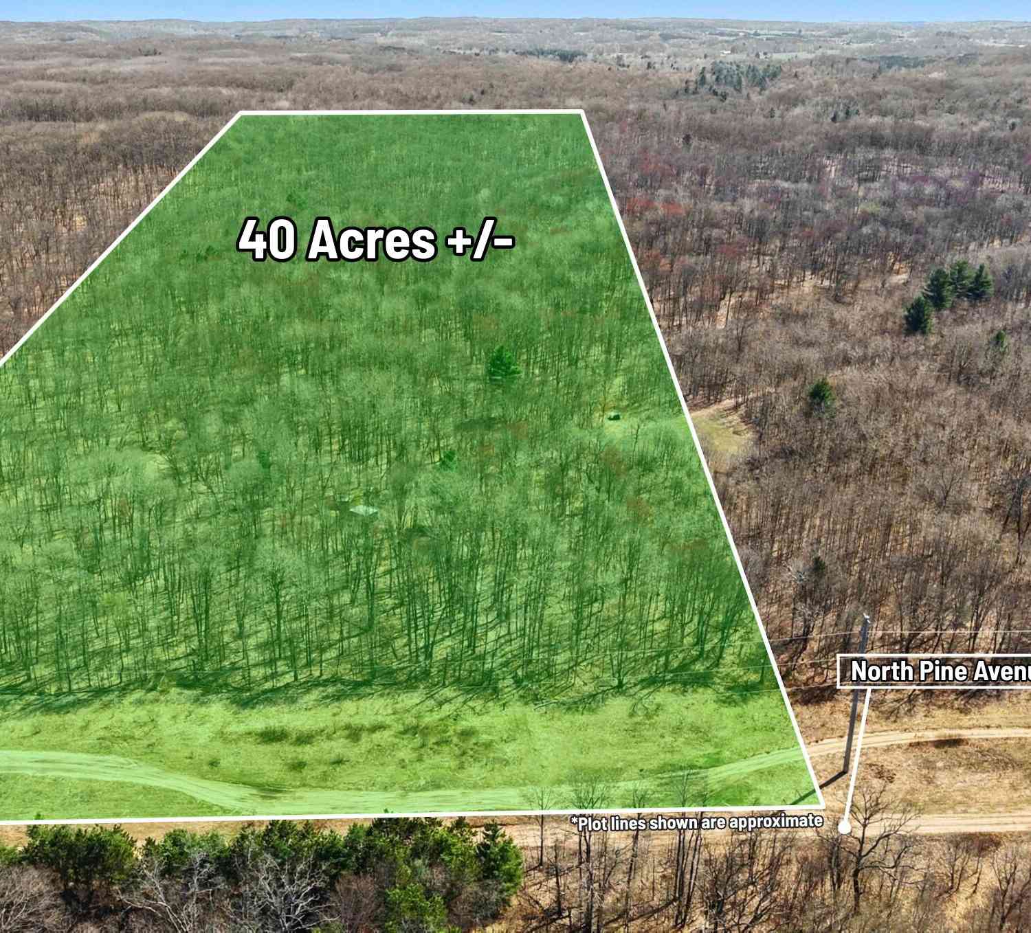 Vacant Land For Sale - VL N Pine Avenue<br/> Newaygo County, Big Rapids, MI 49307