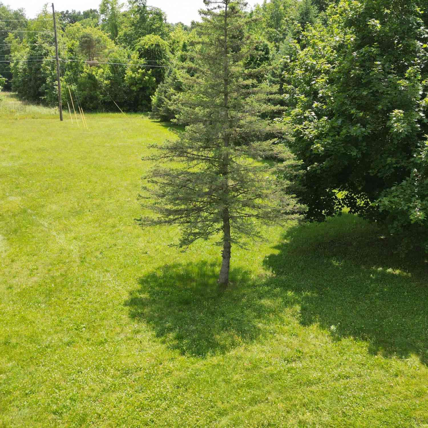 Vacant Land For Sale - V/L S 12th Street<br/> Kalamazoo County, Schoolcraft, MI 49087