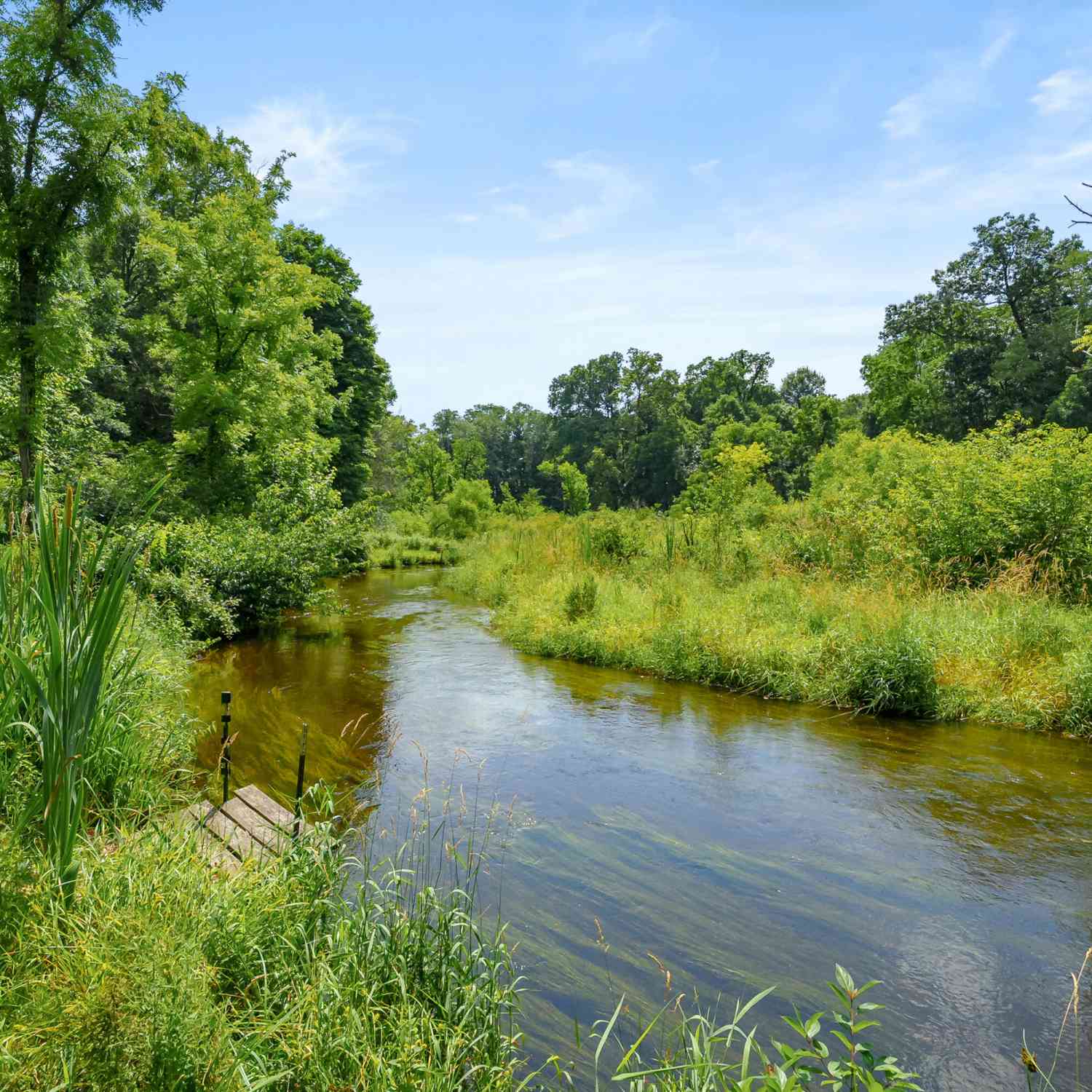 Vacant Land For Sale - 000 South Street<br/> Saint Joseph County, Three Rivers, MI 49093