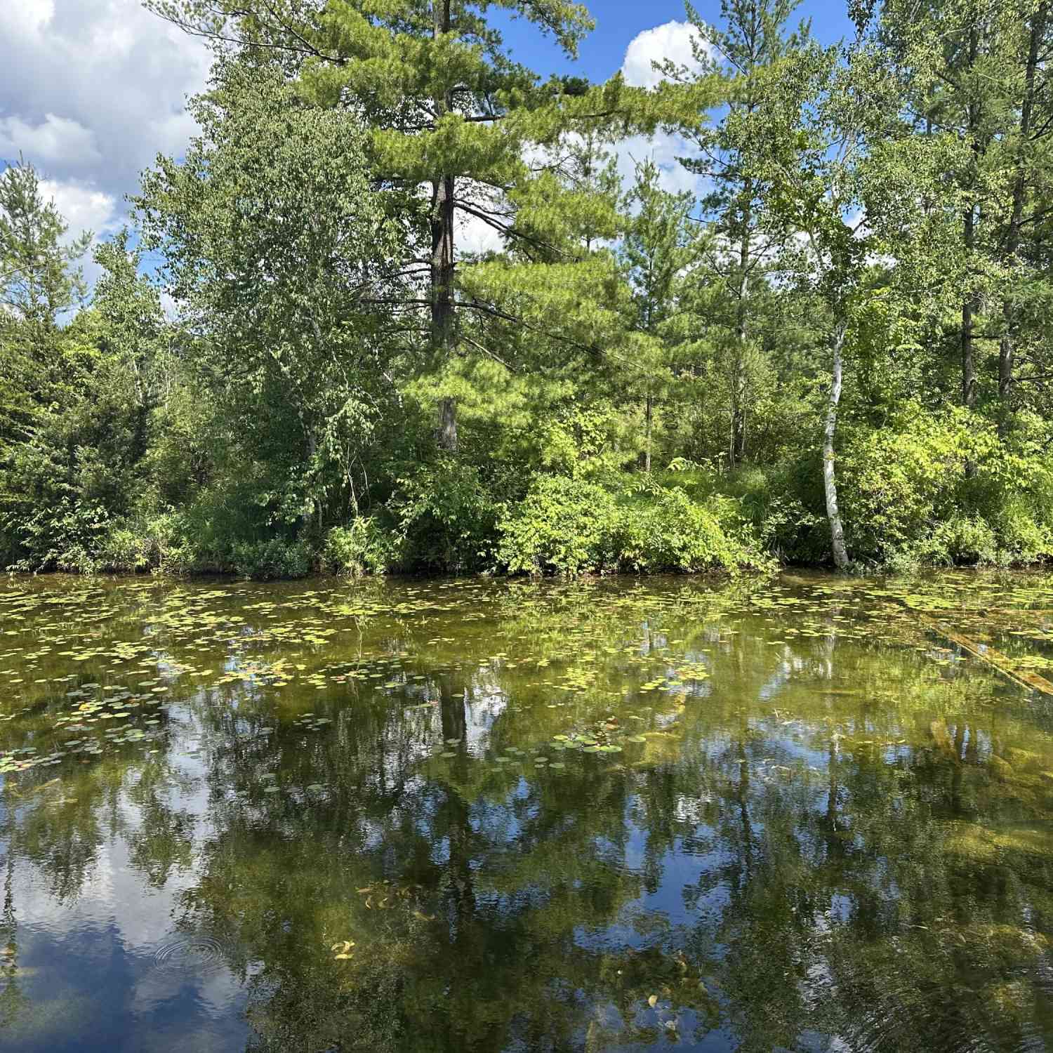 Vacant Land For Sale - 1743 W 68th Street<br/> Baldwin, MI 49304