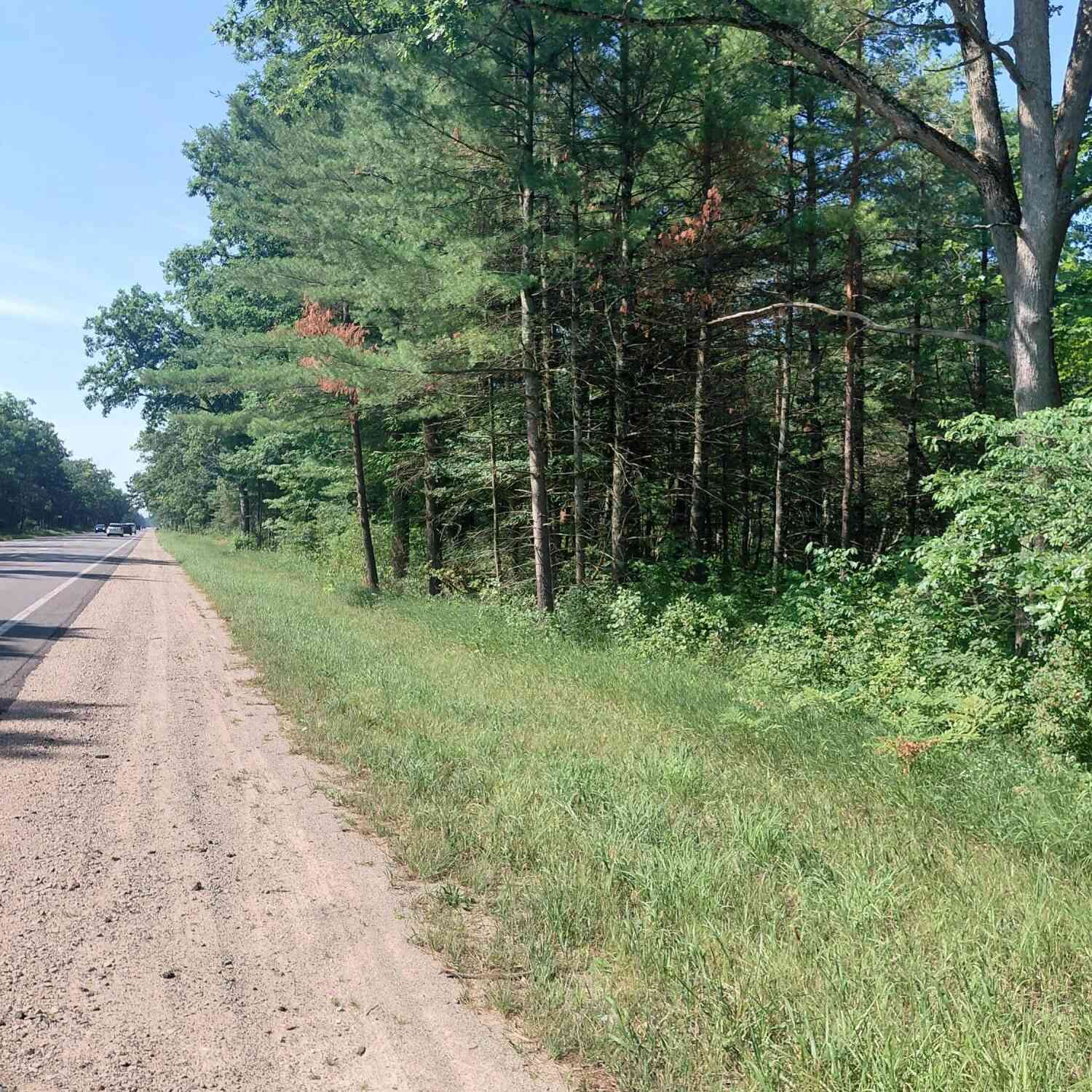 Vacant Land For Sale - 2807 S Evergreen<br/> Newaygo County, White Cloud, MI 49349