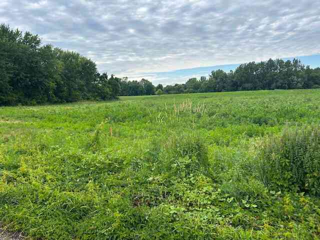 Vacant Land For Sale - PAR A 137th Avenue<br/> Allegan County, Dorr, MI 49323
