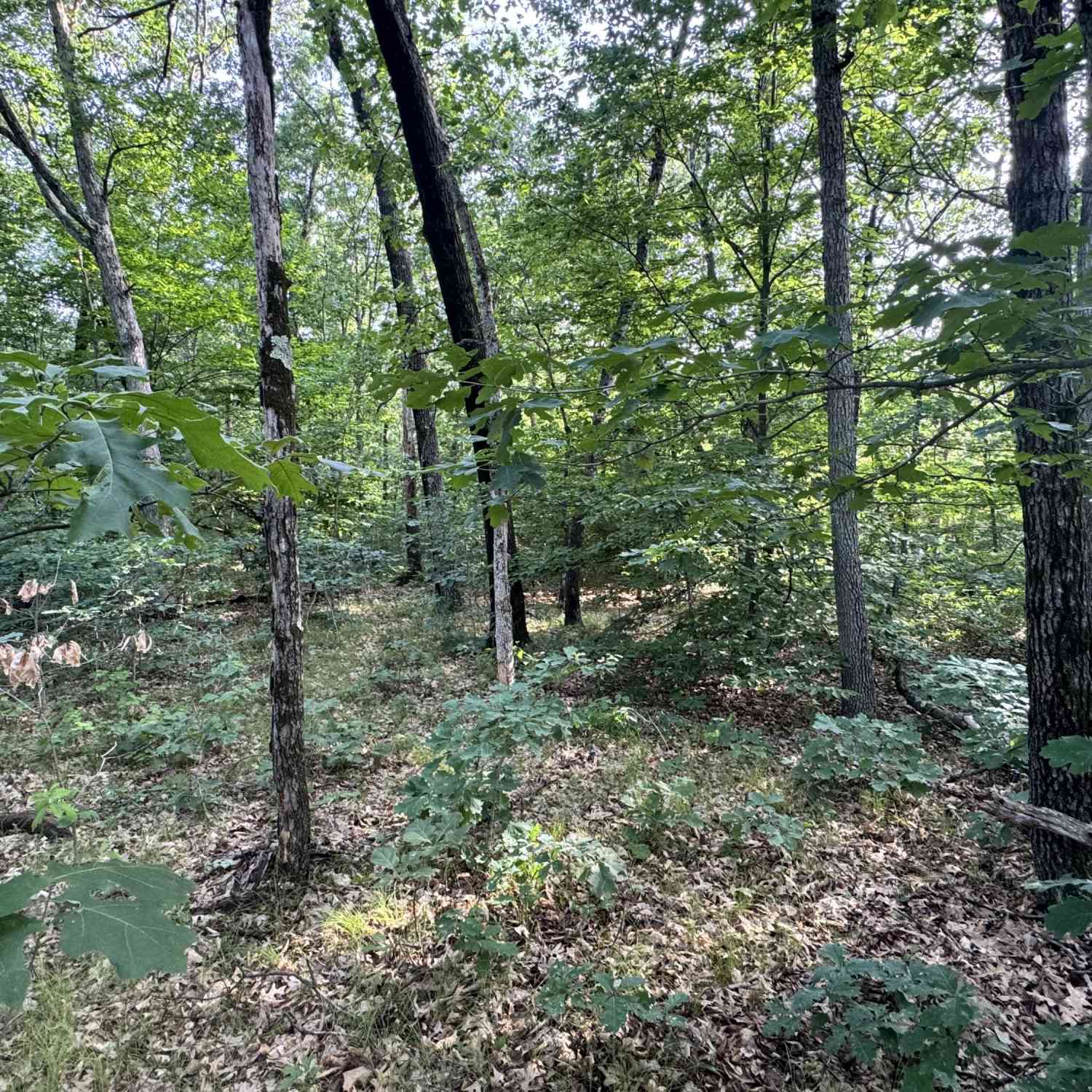 Vacant Land For Sale - V/L E Washington Street<br/> Newaygo County, White Cloud, MI 49349