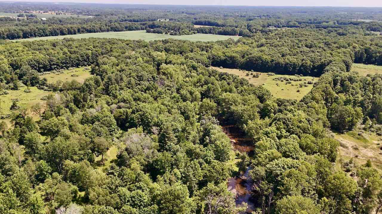 Vacant Land For Sale - 4718 W Church Road<br/> Montcalm County, Six Lakes, MI 48886