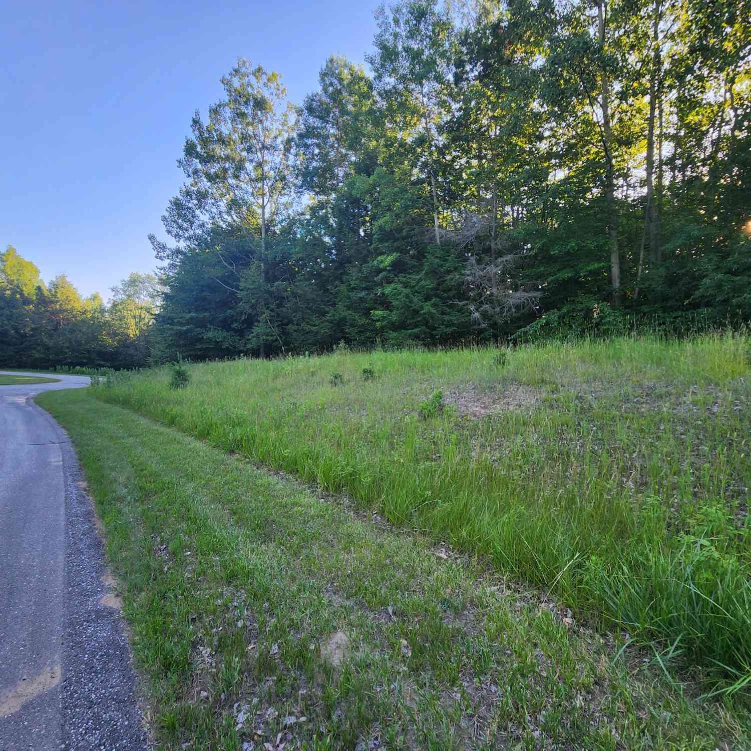 Vacant Land For Sale - 9500 Moon Ridge Road #83<br/> Manistee County, Onekama, MI 49675