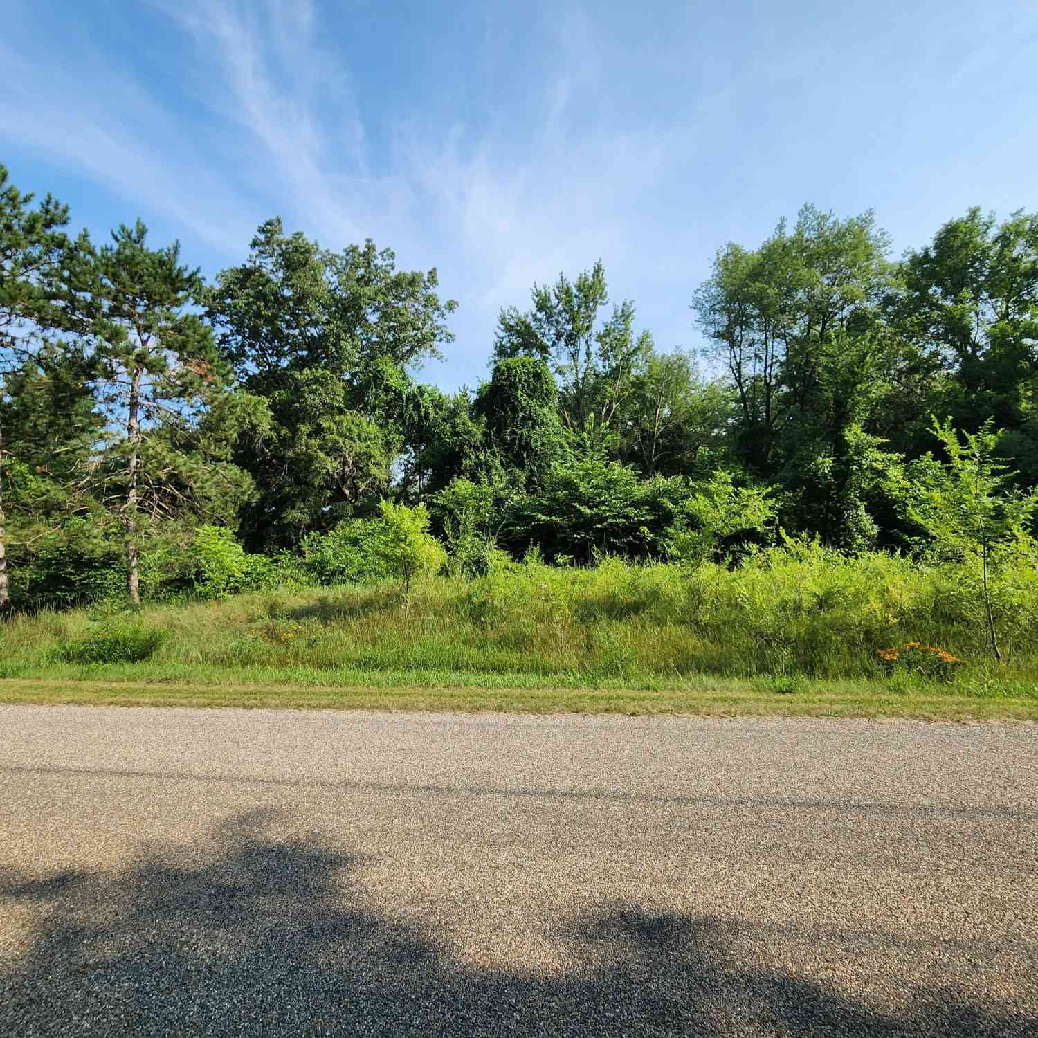 Vacant Land For Sale - Shorewood Drive #LOT 2<br/> Saint Joseph County, Three Rivers, MI 49093