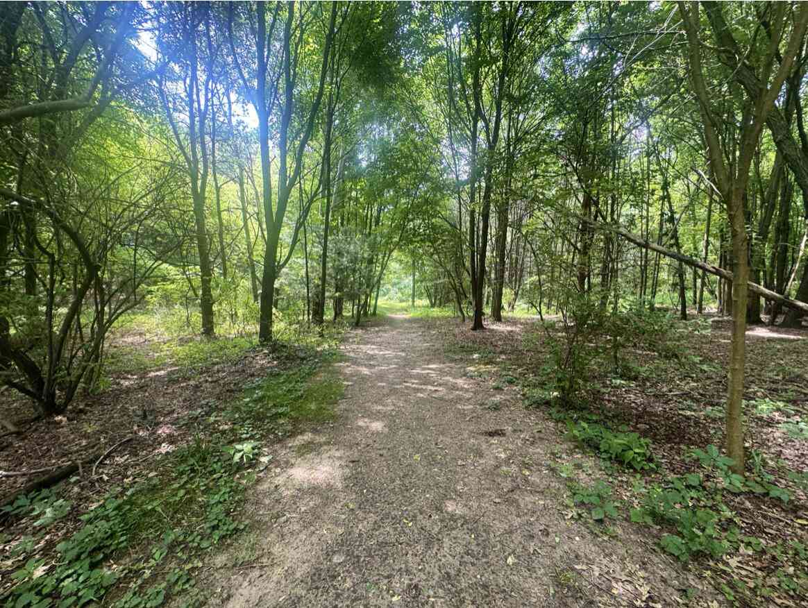 Vacant Land For Sale - 7705 Youngman Road<br/> Montcalm County, Greenville, MI 48838