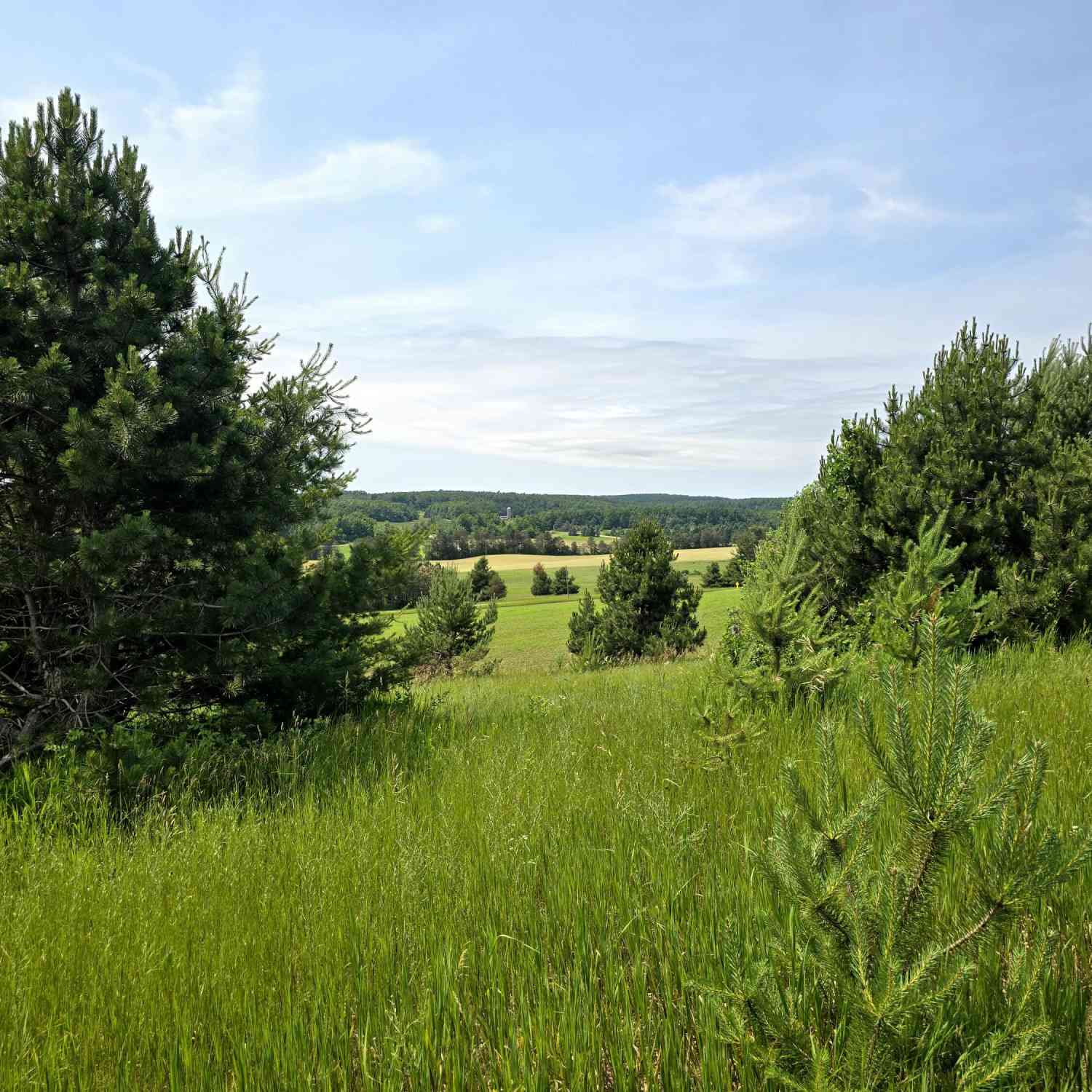 Vacant Land For Sale - 5850 Deer Run Trail<br/> Harbor Springs, MI 49740