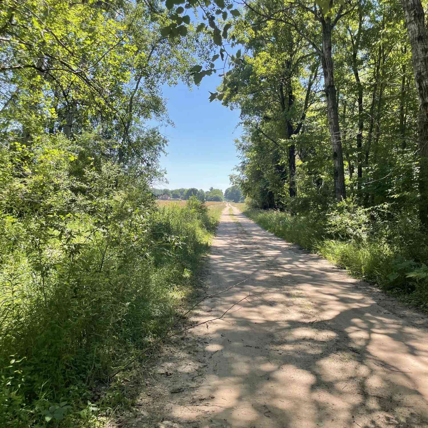 Vacant Land For Sale - V/L Freesoil Road<br/> Free Soil, MI 49411