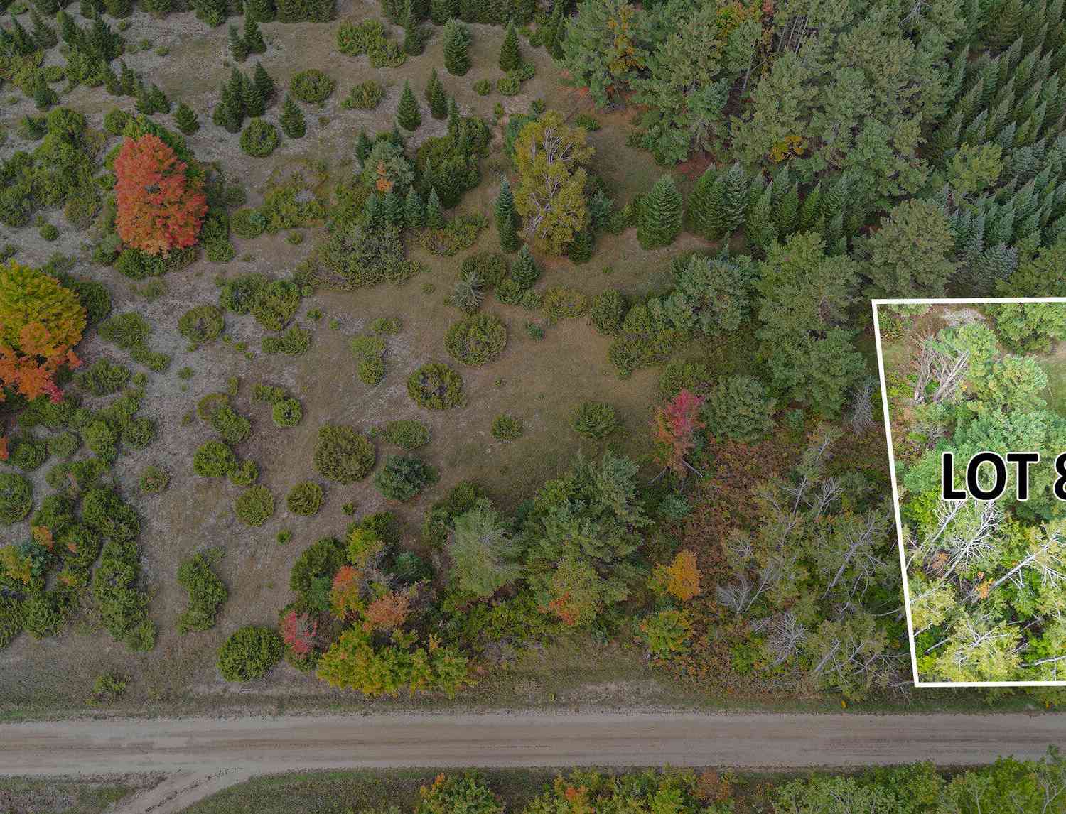 Vacant Land For Sale - V/L Trout Creek Road<br/> Cheboygan County, Cheboygan, MI 49721
