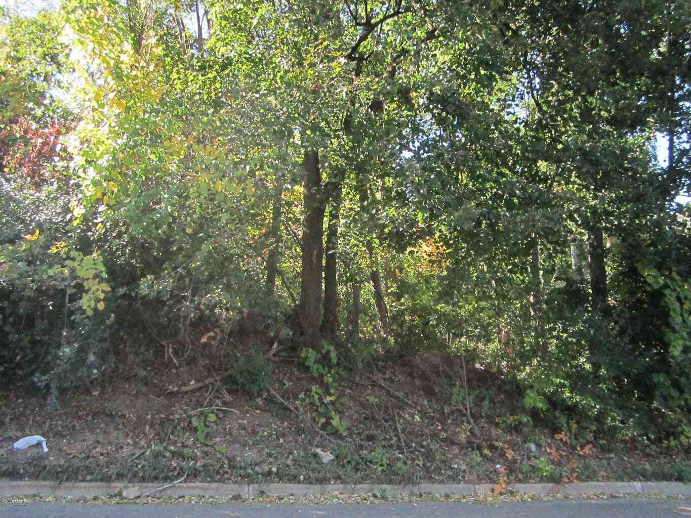 Vacant Land For Sale - V/L Riverside Drive<br/> Battle Creek, MI 49015