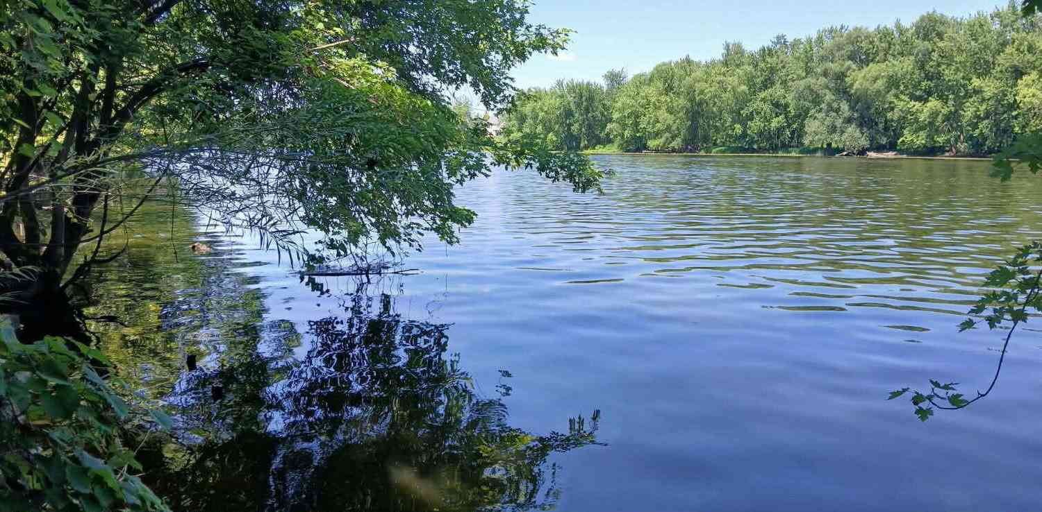 Vacant Land For Sale - 3791 Walnut Park Drive<br/> Grand Rapids, MI 49525